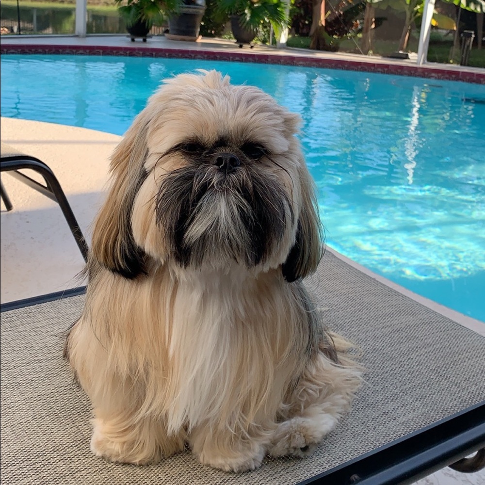 Meet your Posher, Nancy